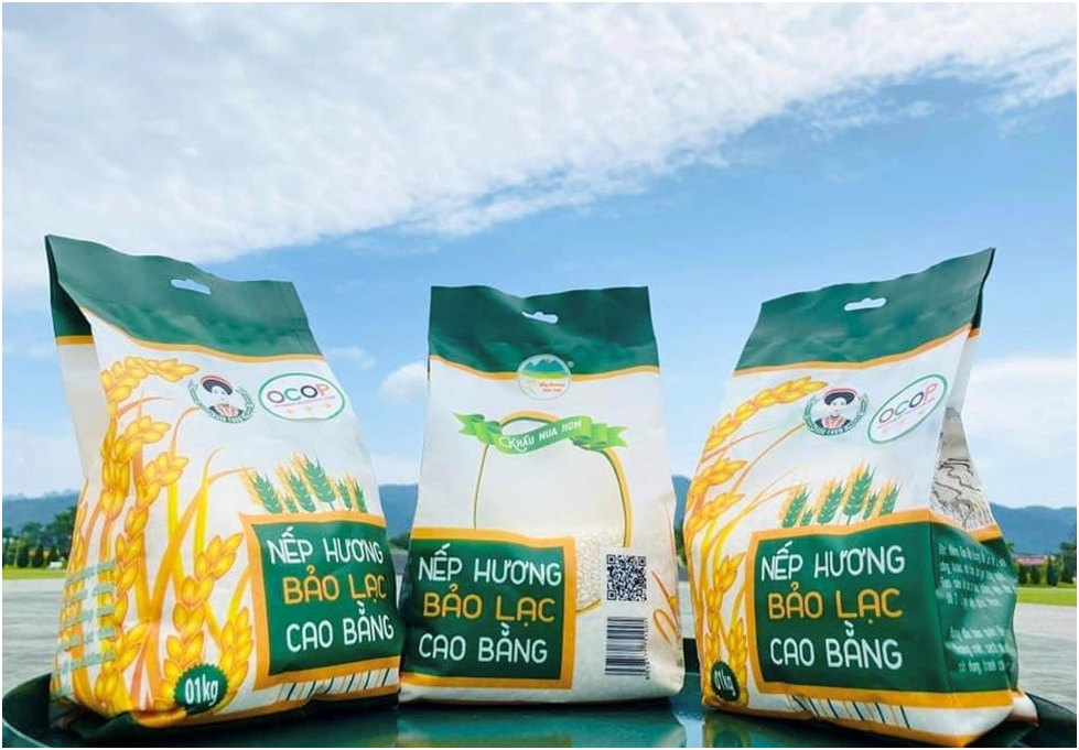 Nếp hương Bảo Lạc Cao Bằng